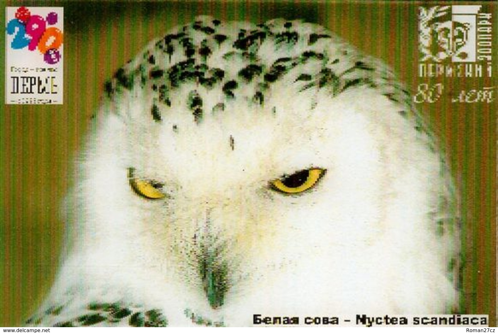 ZOO Perm (RU) - Snwy Owl - 3D Magnet - Dieren & Fauna