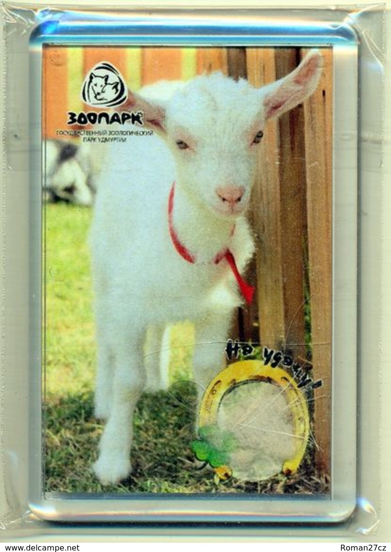 ZOO Izhevsk (RU) - Goat - Animaux & Faune