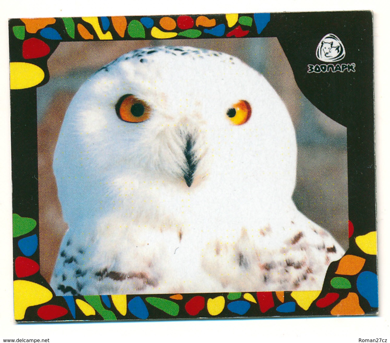 ZOO Izhevsk (RU) - Snowy Owl - Animals & Fauna