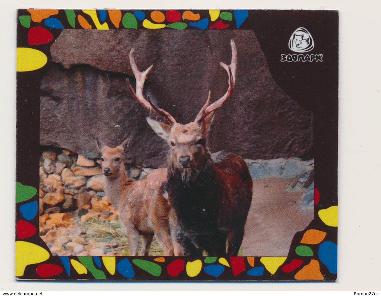 ZOO Izhevsk (RU) - Deer - Tierwelt & Fauna
