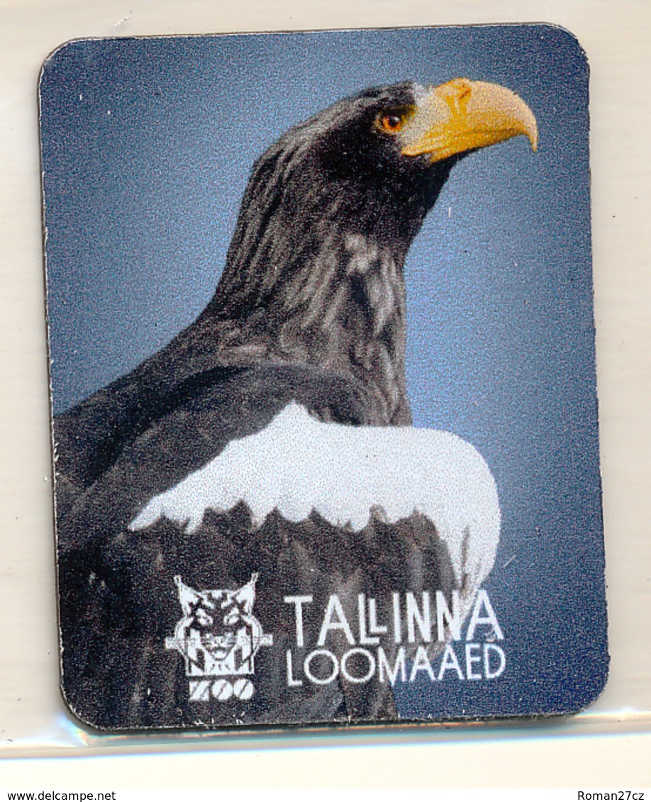 ZOO Tallinn (EE) - Eagle - Animaux & Faune