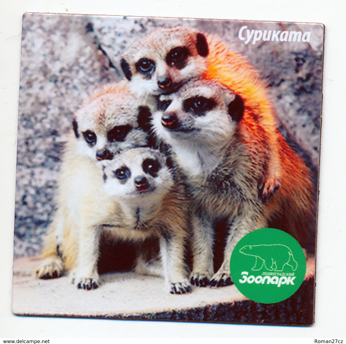 ZOO Leningrad (RU) - Meerkat - Animals & Fauna