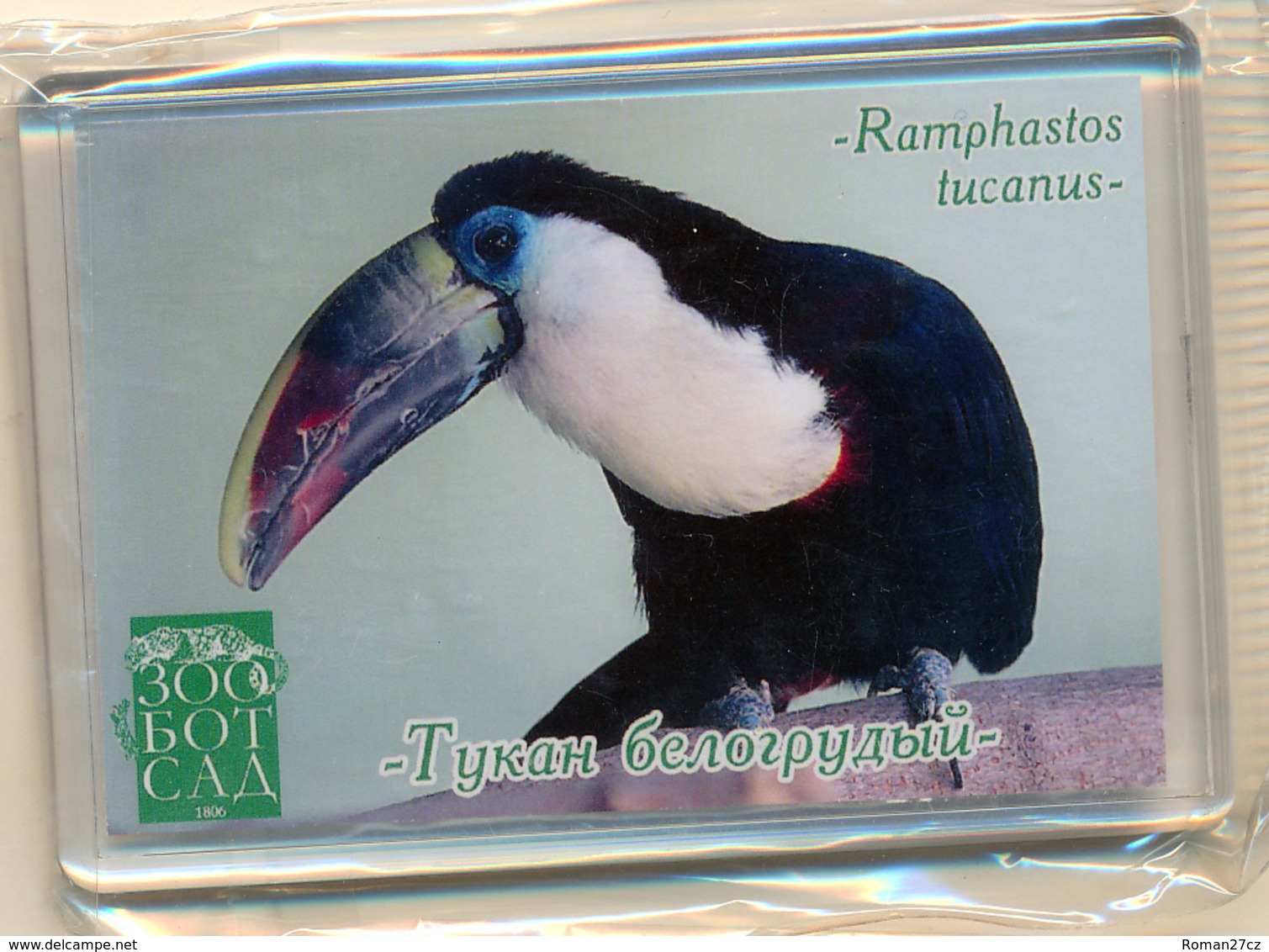 Zoo-botanical Garden Kazan (RU) - Toucan - Dieren & Fauna