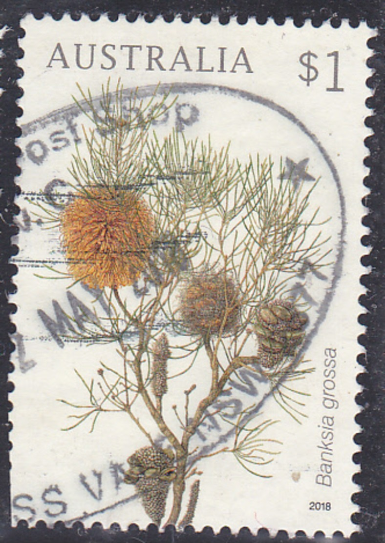 2018. AUSTRALIAN DECIMAL. Banksias. $1. Banksia Speciosa. FU.. - Used Stamps