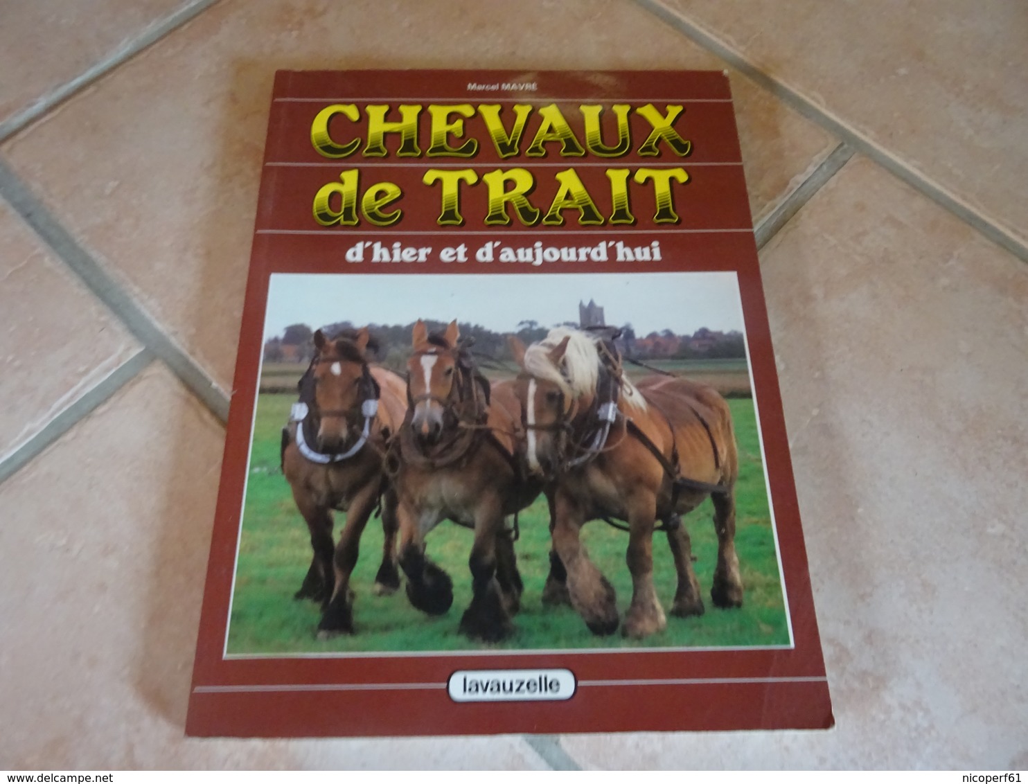 Chevaux De Trait D'hier Et D'aujourd'hui - Animaux