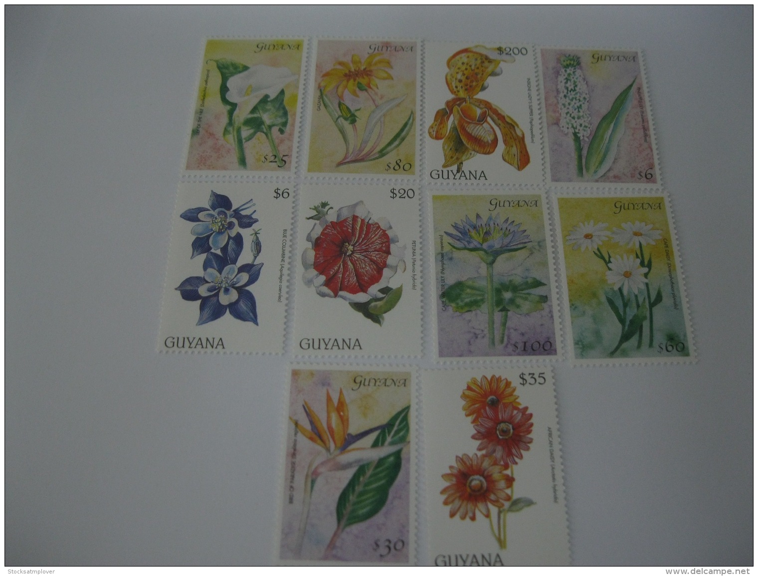 Guyana Flower 8 Stamps - Guyana (1966-...)