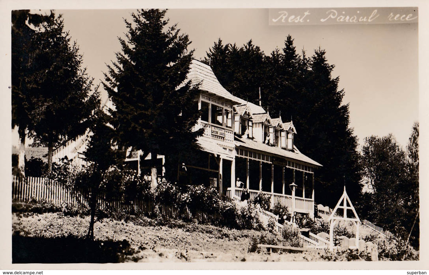 PREDEAL : PÂRÂUL RECE - RESTAURANT Cu LAUTARI / CAMERE De LOCUIT - CARTE VRAIE PHOTO / REAL PHOTO ~ 1930 - '35 (ab978) - Rumänien