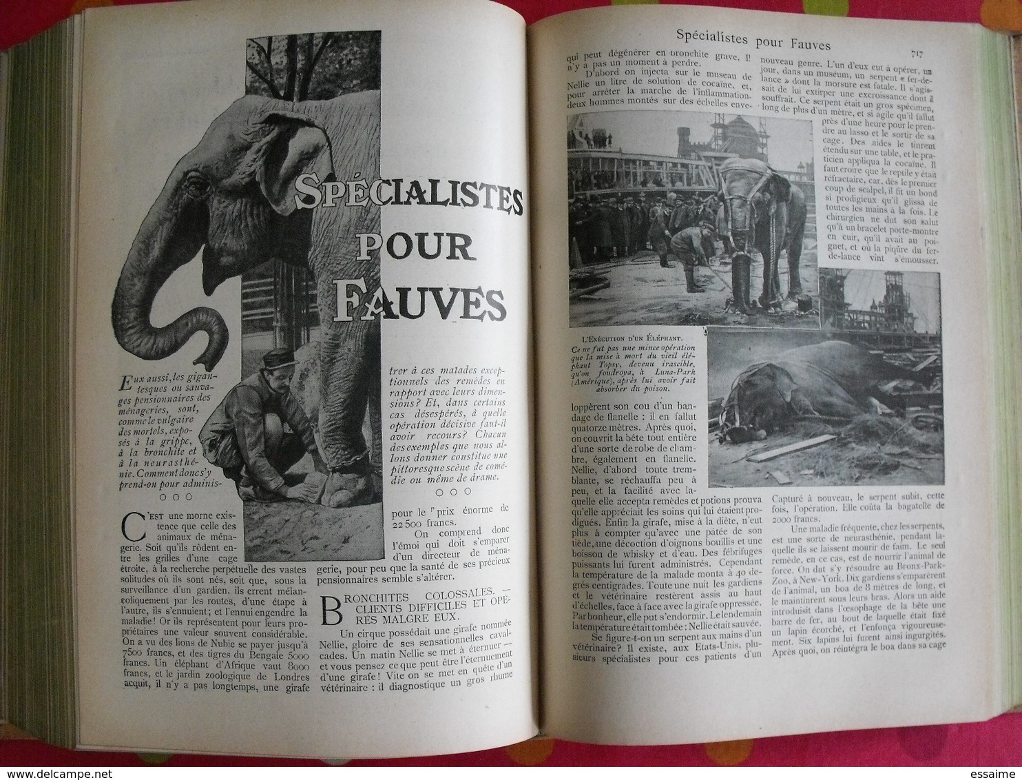 Lecture pour tous 1905-1906. Hachette reliure éditeur. taxi carambolage cirque  guérisseur rebouteux camelot escroc inde