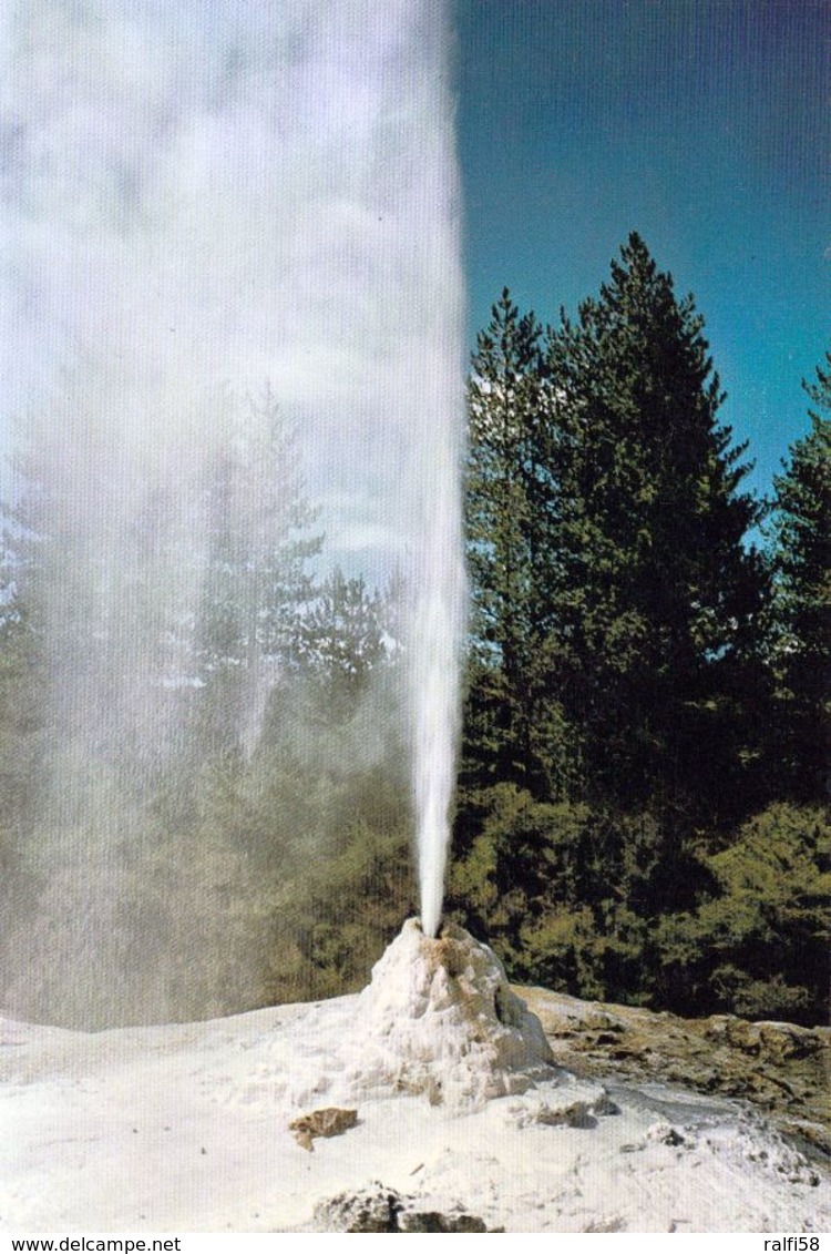 1 AK New Zealand * Lady Knox Geyser Waiotapu Thermal Wonderland In Der Region Waikato - Auf Der Nordinsel * - Neuseeland