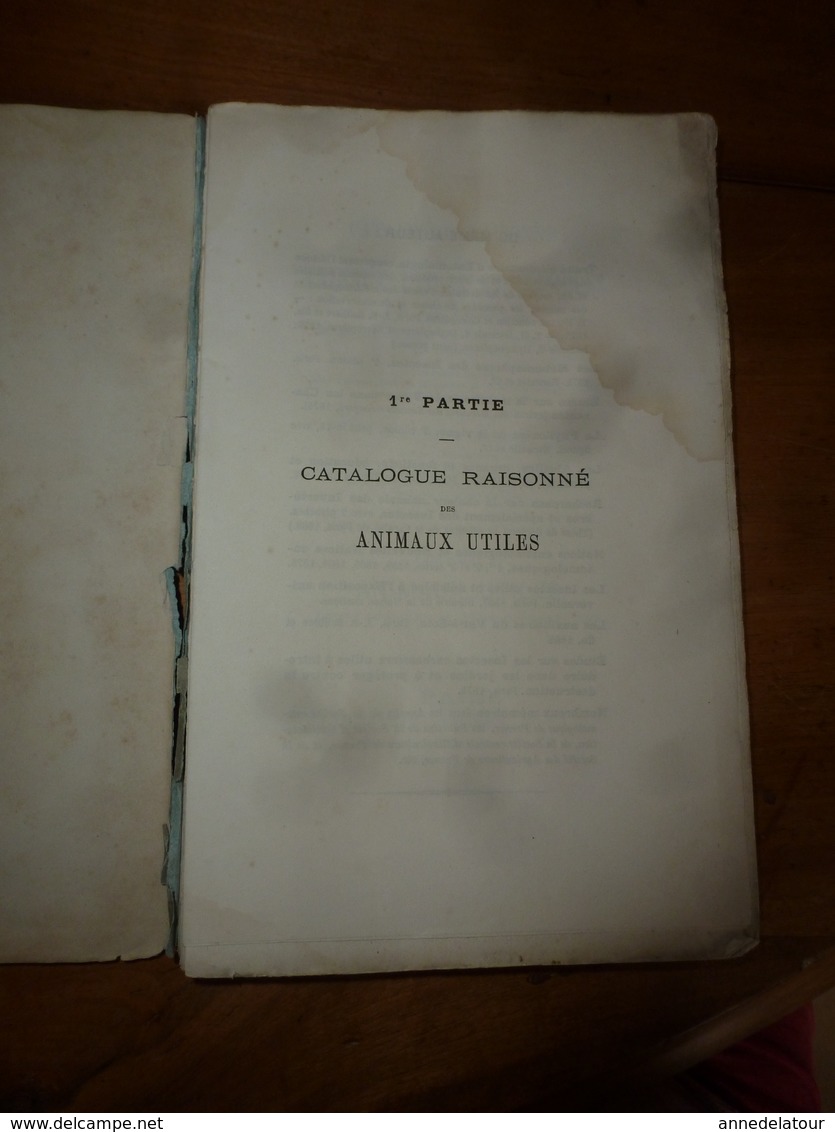 1878 Catalogue Raisonné Des ANIMAUX UTILES - Par Maurice Girard Docteur ès Sciences Naturelles - Sciences