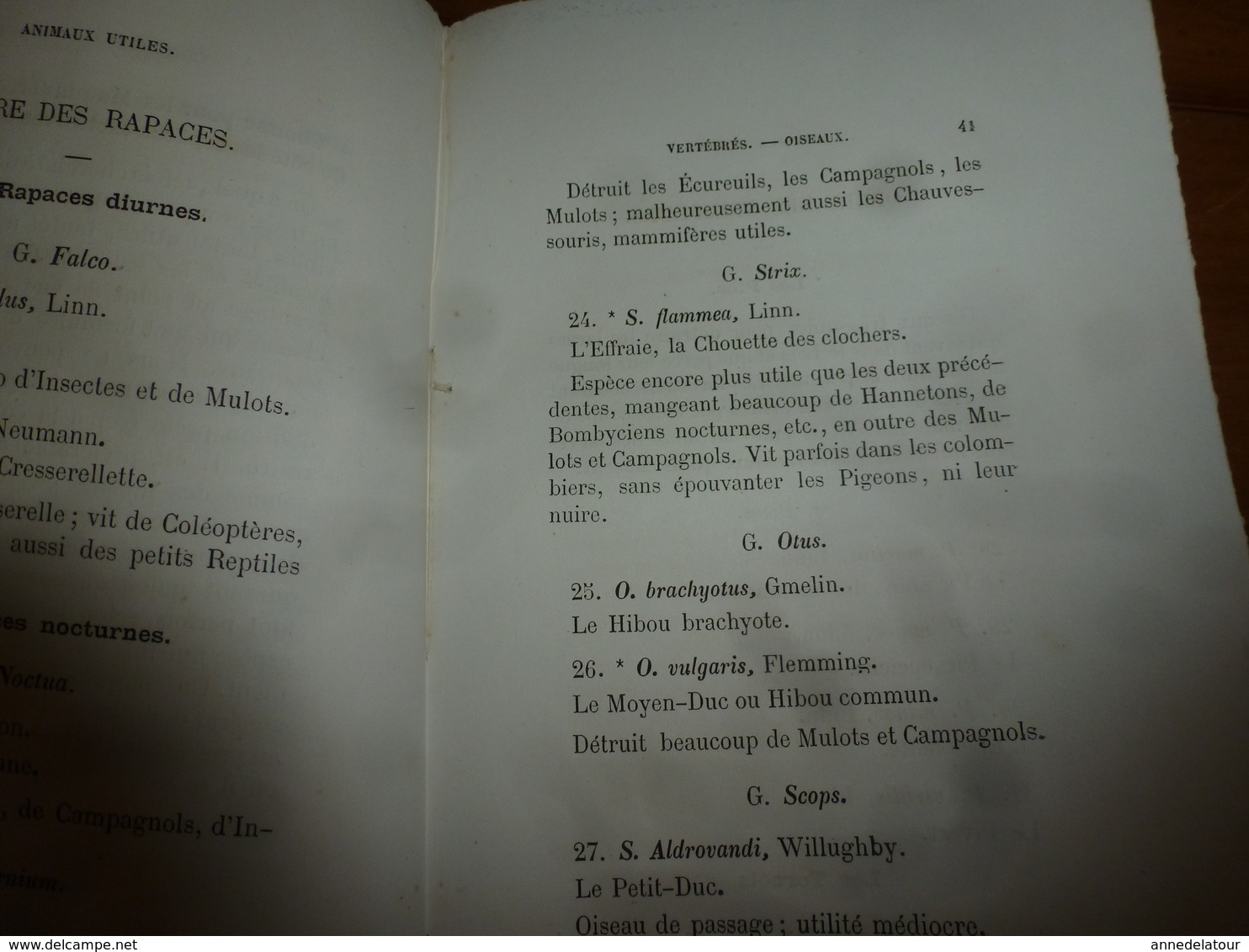 1878 Catalogue raisonné des ANIMAUX UTILES - par Maurice Girard docteur ès Sciences Naturelles