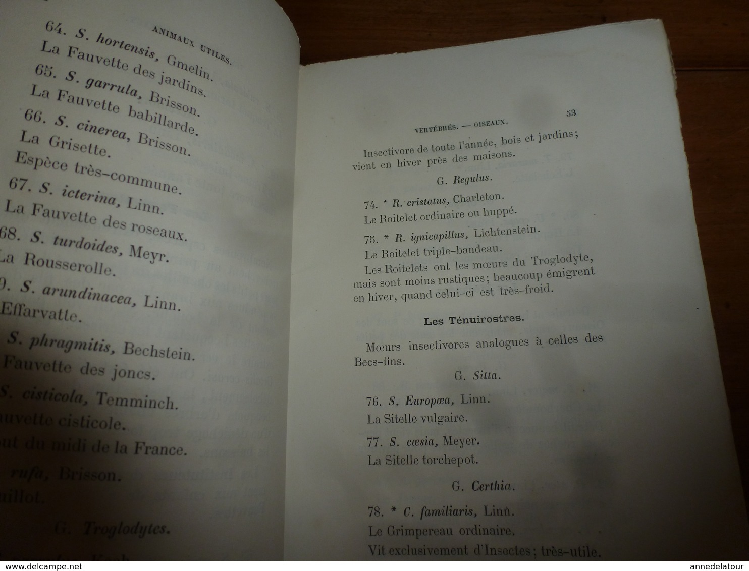 1878 Catalogue raisonné des ANIMAUX UTILES - par Maurice Girard docteur ès Sciences Naturelles