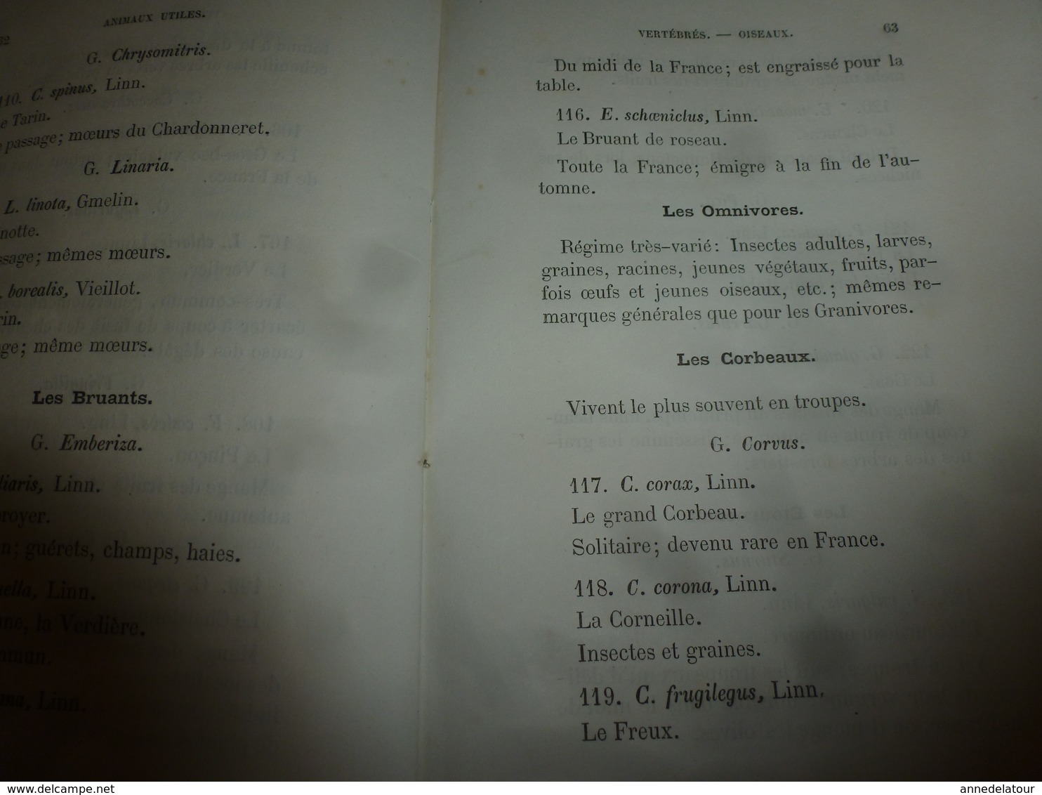 1878 Catalogue raisonné des ANIMAUX UTILES - par Maurice Girard docteur ès Sciences Naturelles