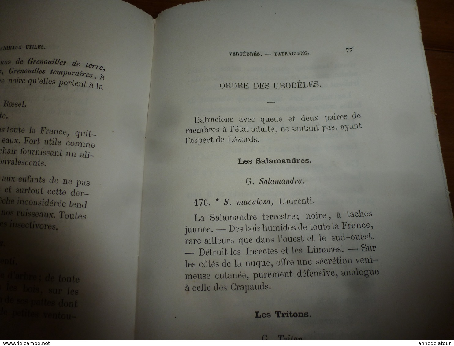 1878 Catalogue raisonné des ANIMAUX UTILES - par Maurice Girard docteur ès Sciences Naturelles