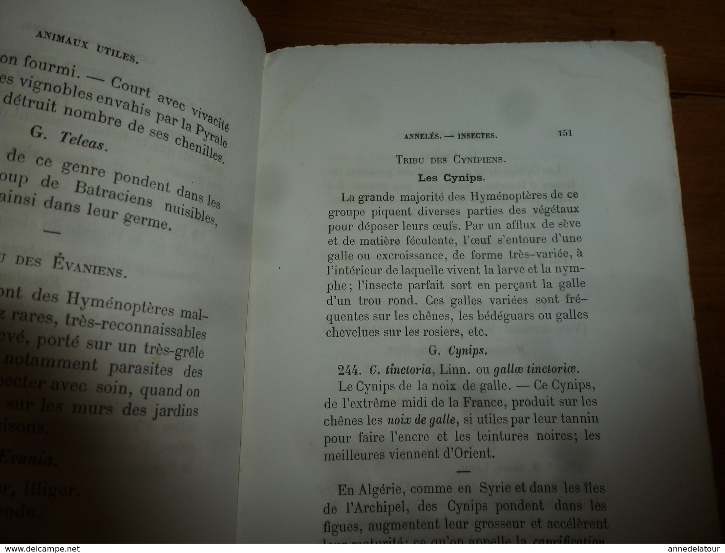 1878 Catalogue raisonné des ANIMAUX UTILES - par Maurice Girard docteur ès Sciences Naturelles