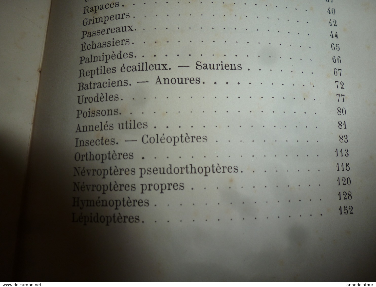 1878 Catalogue raisonné des ANIMAUX UTILES - par Maurice Girard docteur ès Sciences Naturelles