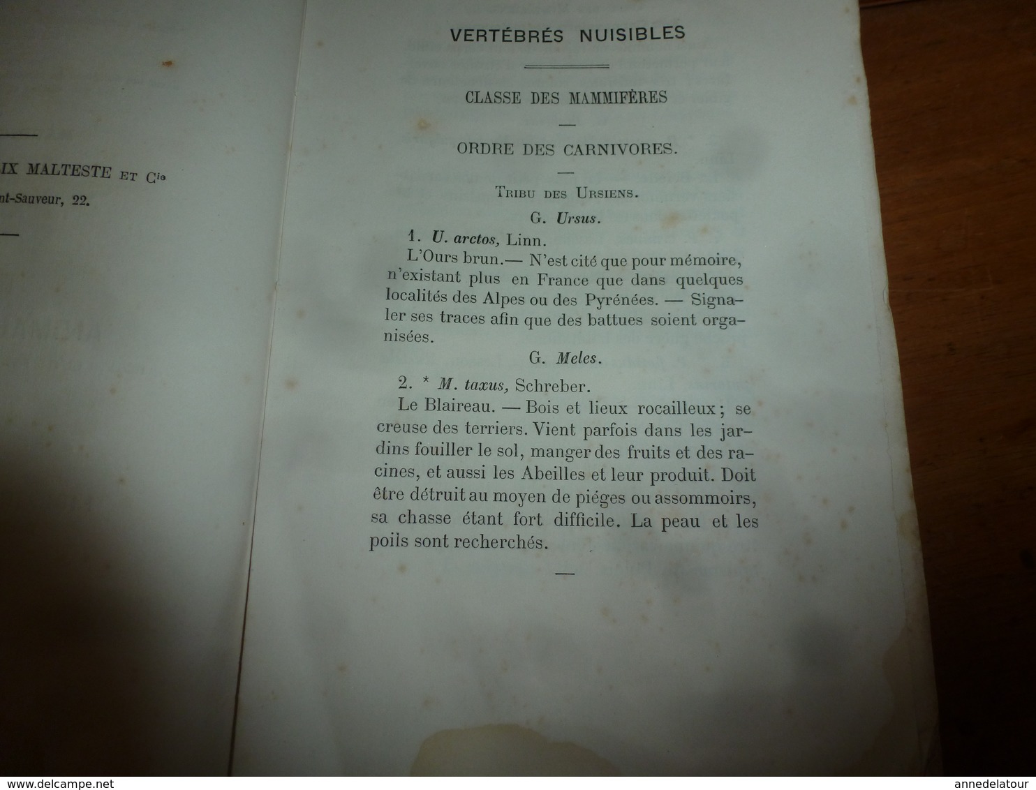 1878 Catalogue raisonné des ANIMAUX UTILES et NUISIBLES - par Maurice Girard docteur ès Sciences Naturelles