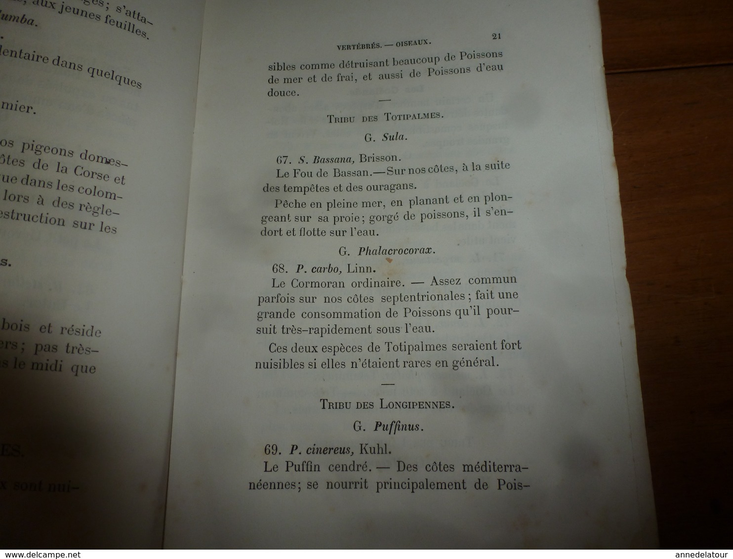 1878 Catalogue raisonné des ANIMAUX UTILES et NUISIBLES - par Maurice Girard docteur ès Sciences Naturelles