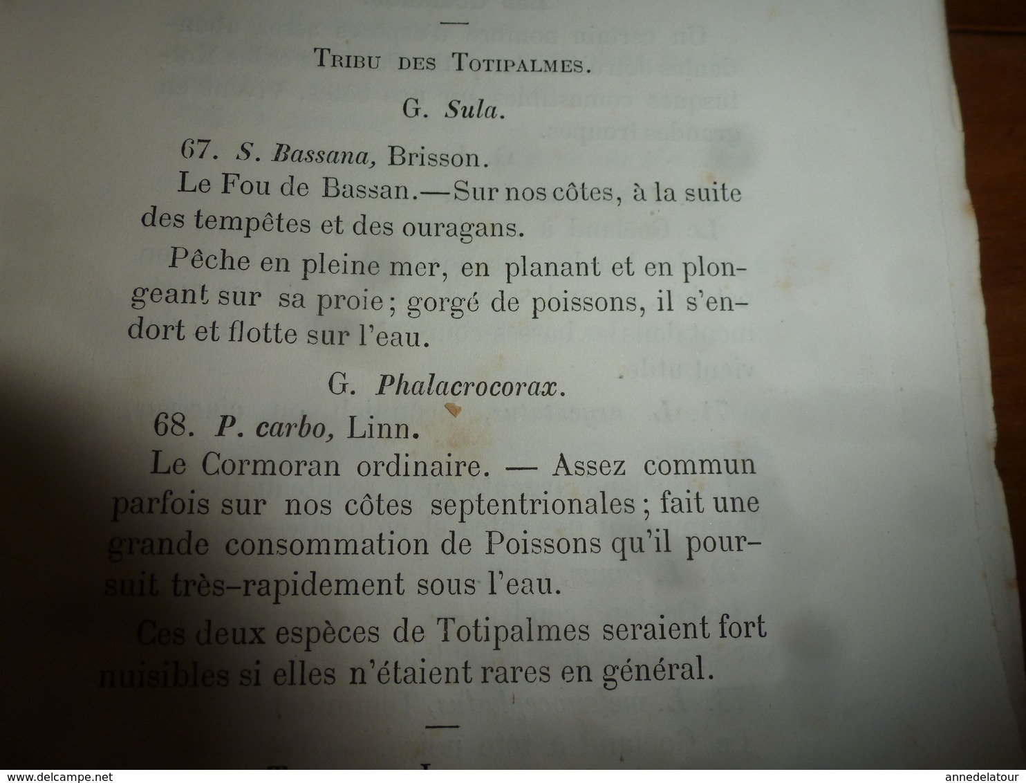 1878 Catalogue raisonné des ANIMAUX UTILES et NUISIBLES - par Maurice Girard docteur ès Sciences Naturelles