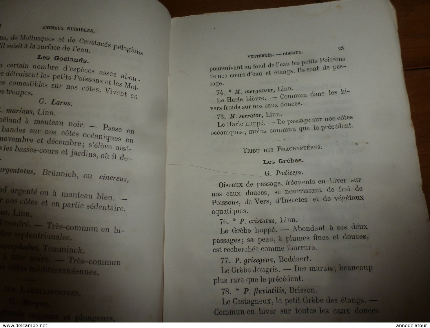 1878 Catalogue raisonné des ANIMAUX UTILES et NUISIBLES - par Maurice Girard docteur ès Sciences Naturelles