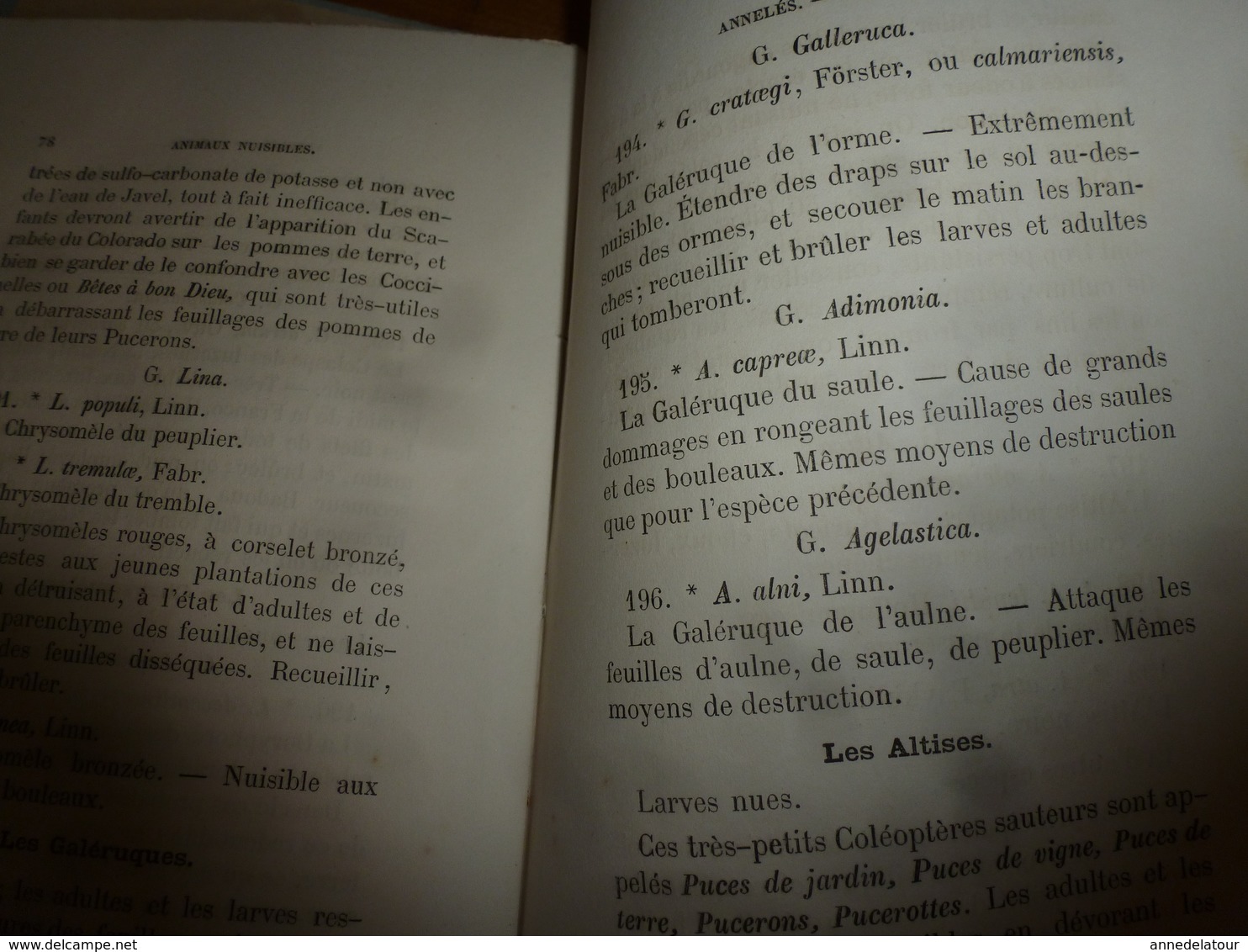 1878 Catalogue raisonné des ANIMAUX UTILES et NUISIBLES - par Maurice Girard docteur ès Sciences Naturelles