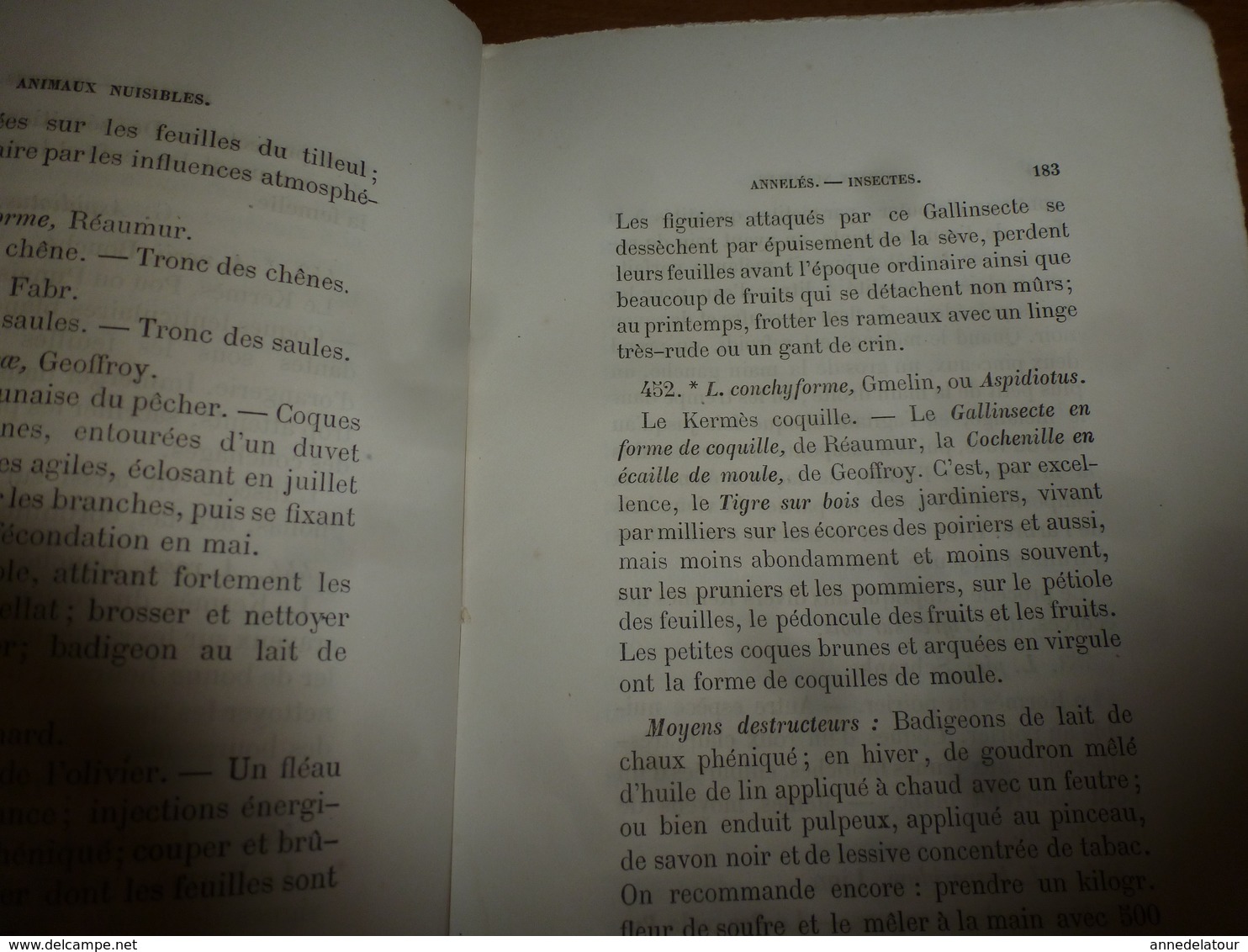 1878 Catalogue raisonné des ANIMAUX UTILES et NUISIBLES - par Maurice Girard docteur ès Sciences Naturelles