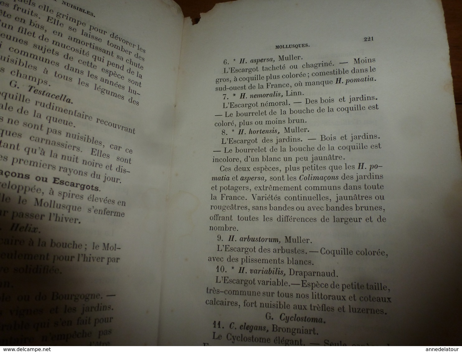 1878 Catalogue raisonné des ANIMAUX UTILES et NUISIBLES - par Maurice Girard docteur ès Sciences Naturelles