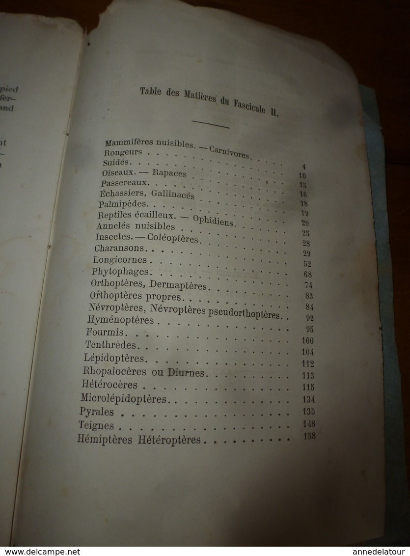 1878 Catalogue raisonné des ANIMAUX UTILES et NUISIBLES - par Maurice Girard docteur ès Sciences Naturelles