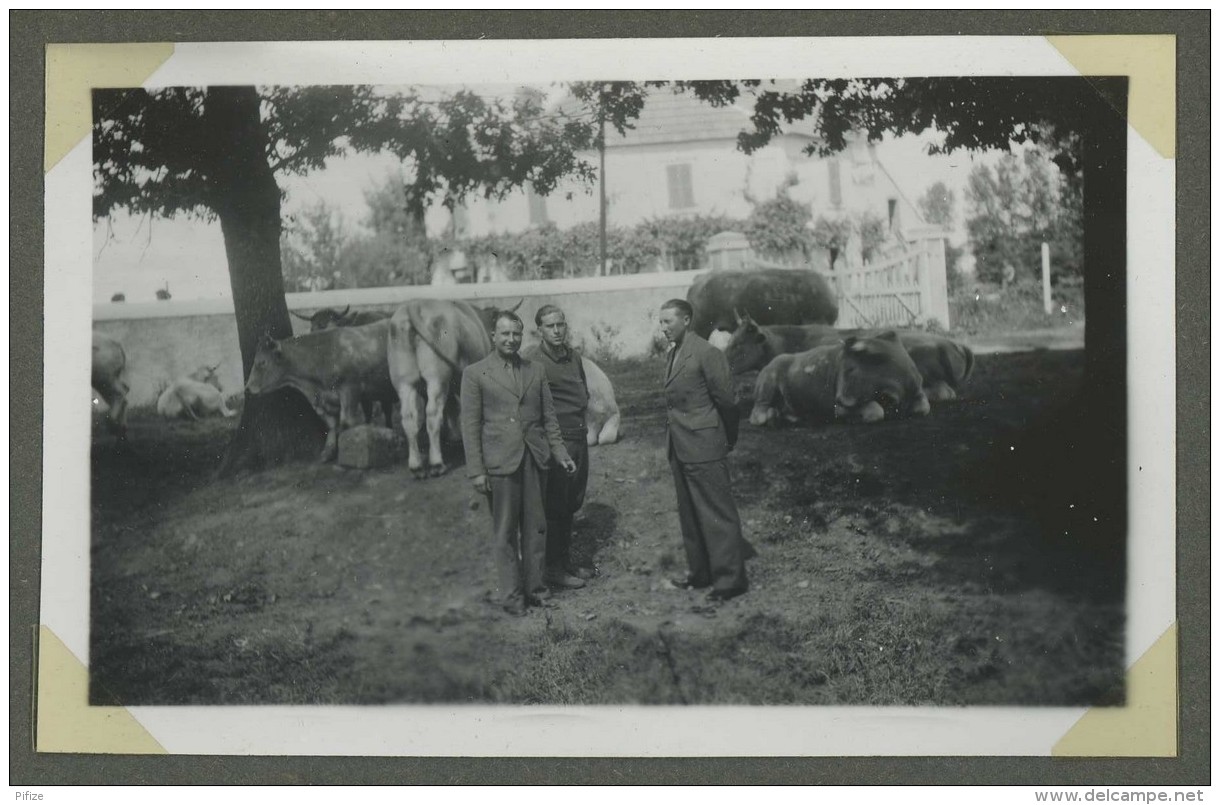 Guerre de 1939-45 . 11 photos prises à la Trimouille (Vienne) en août 1940 . Soldats .