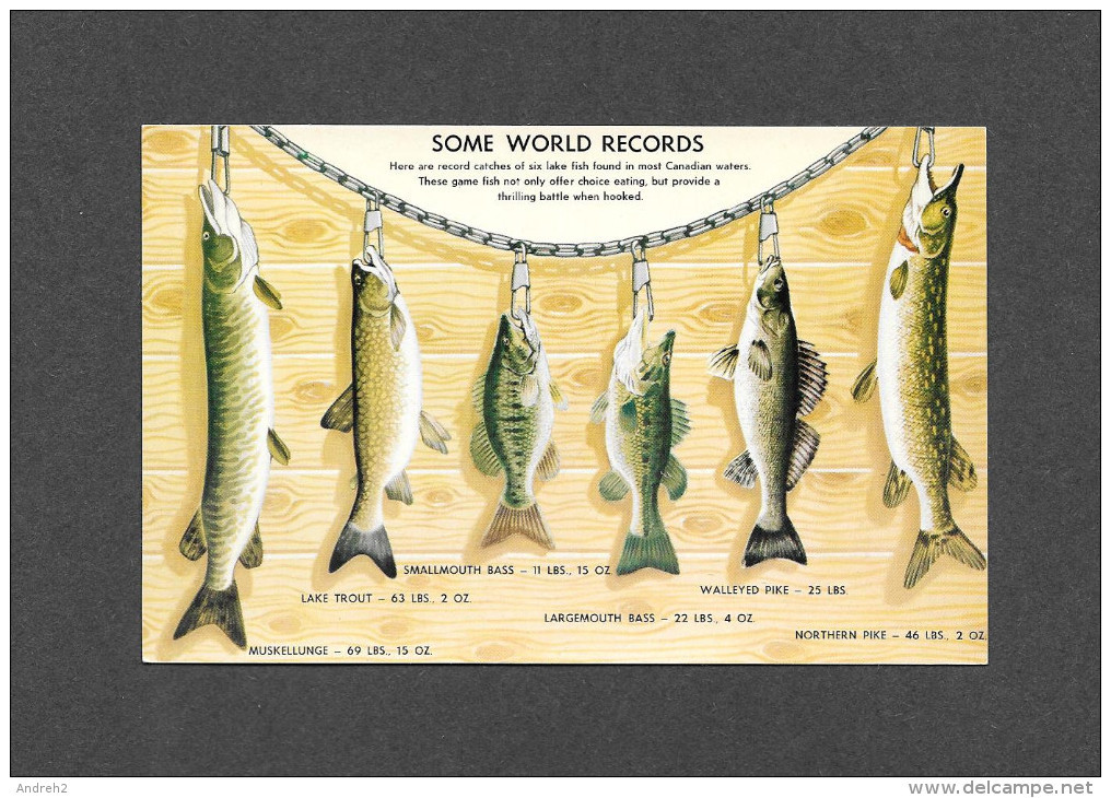 ANIMAUX - ANIMALS - POISSONS - SOME WORLD RECORDS - CANADIAN RECORDS - QUELQUES RECORDS DU MONDE - Poissons Et Crustacés