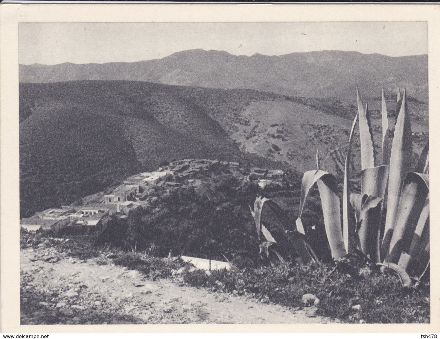 ALGERIE--NEDROMA--( Département D'ORAN )--voir 2 Scans - Autres & Non Classés