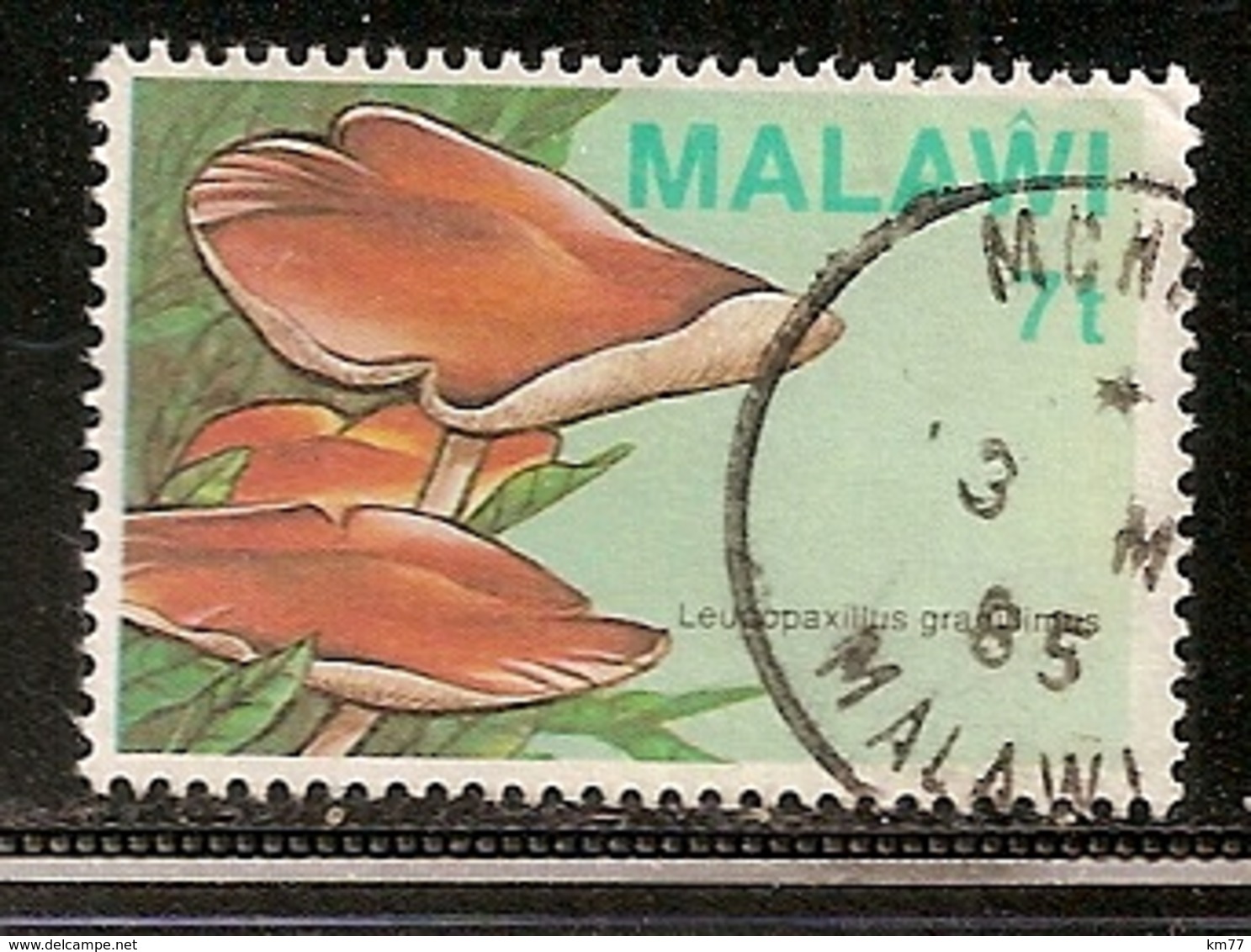 MALAWI OBLITERE - Malawi (1964-...)