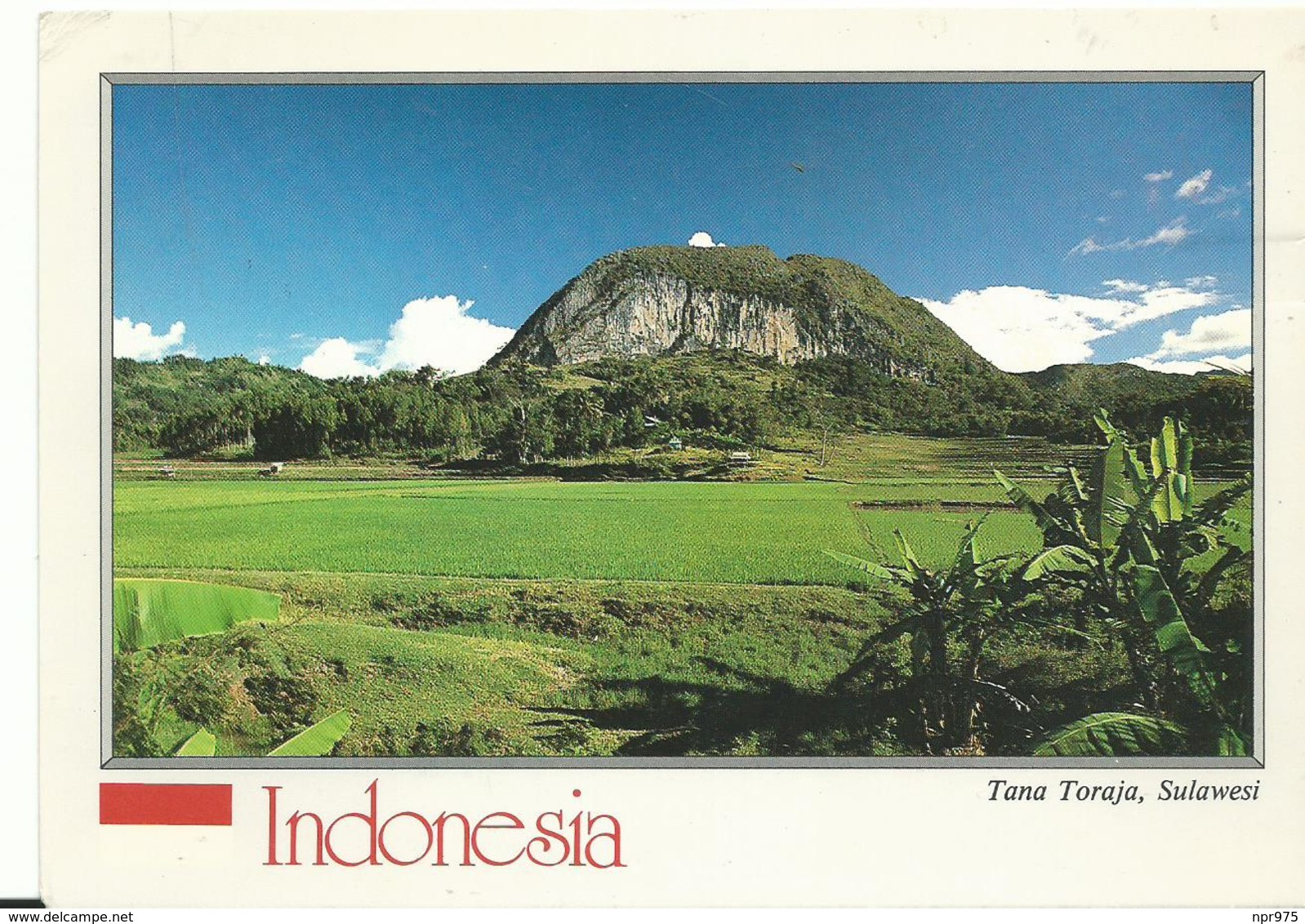 Indonesie  Tana Toraja Sulawesi - Indonésie