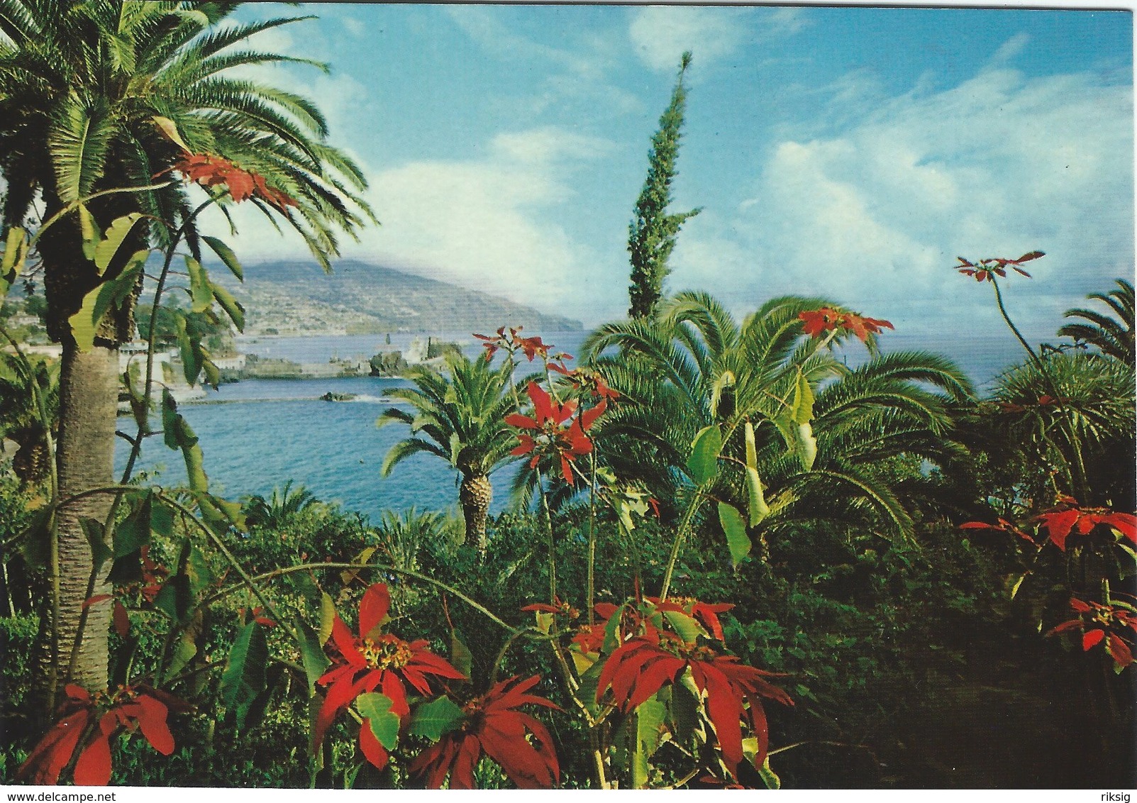 Funchal Madeira. Card Used In Sweden.   # 07815 - Madeira