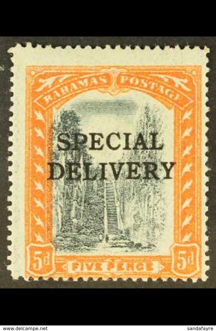 SPECIAL DELIVERY  1916 5d Black & Orange Overprint WATERMARK REVERSED Variety, SG S1x, Fine Very Lightly Hinged Mint, Ce - Andere & Zonder Classificatie