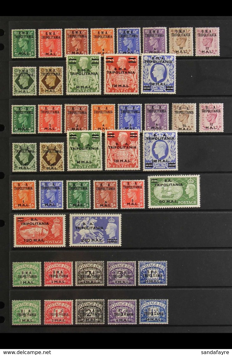 TRIPOLITANIA  1948-1951 COMPLETE SUPERB MINT COLLECTION On A Stock Page, All Different, Includes 1948 (120L On 5s Is NHM - Africa Orientale Italiana