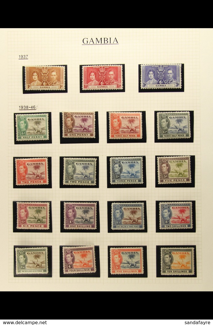 1937-52 KING GEORGE VI COMPLETE FINE MINT COLLECTION  Includes 1938-46 "Elephant" Definitive Set Of 16, Plus All Of The  - Gambia (...-1964)