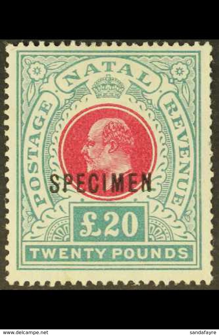 NATAL  1902 £20 Red & Green, Wmk Crown CC, "SPECIMEN" Overprint, SG 145bs, Perf Faults At Right, No Gum, Cat.£650. For M - Zonder Classificatie