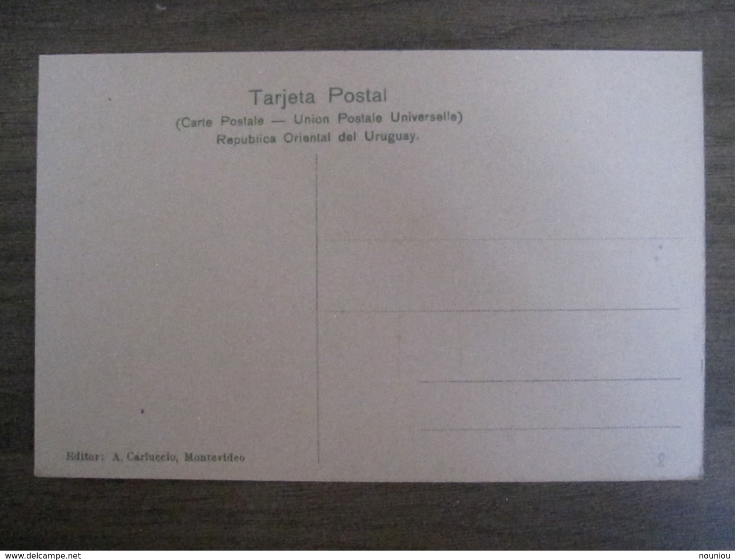 Tarjeta Postal - Uruguay Uruguaya Montevideo - Gruta Y Lago Parque Urbano - 310 Editor A. Carluccio Montevideo - Uruguay