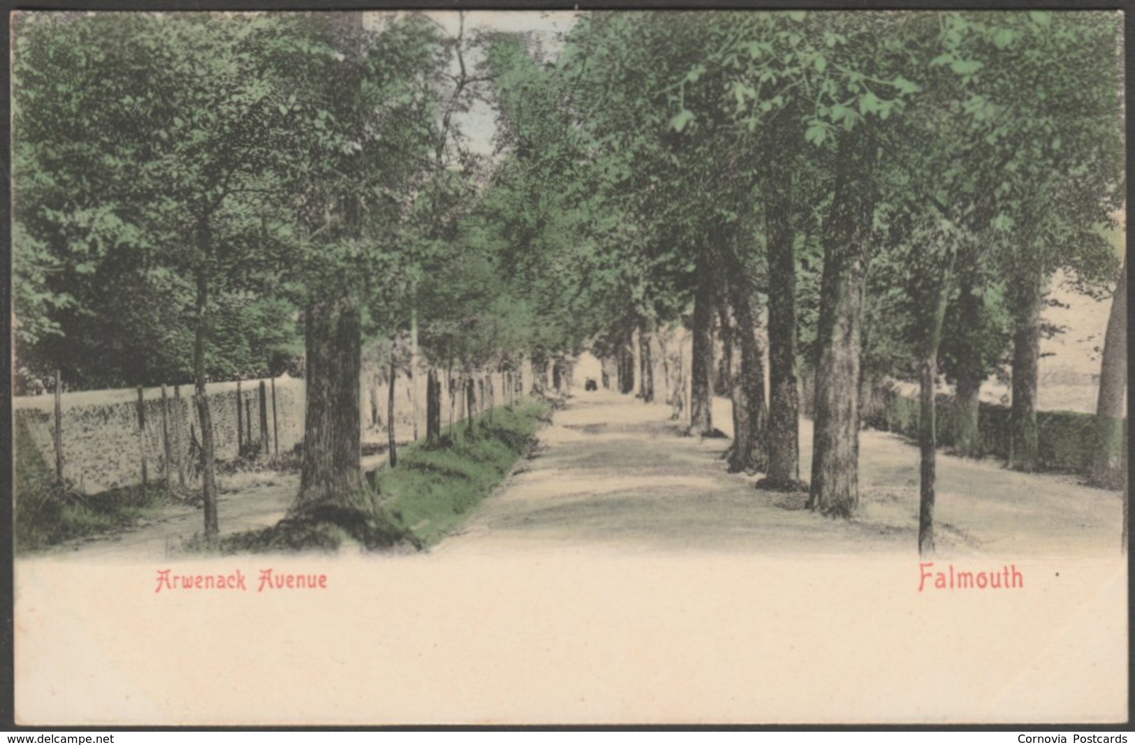 Arwenack Avenue, Falmouth, Cornwall, C.1900-05 - Stengel U/B Postcard - Falmouth