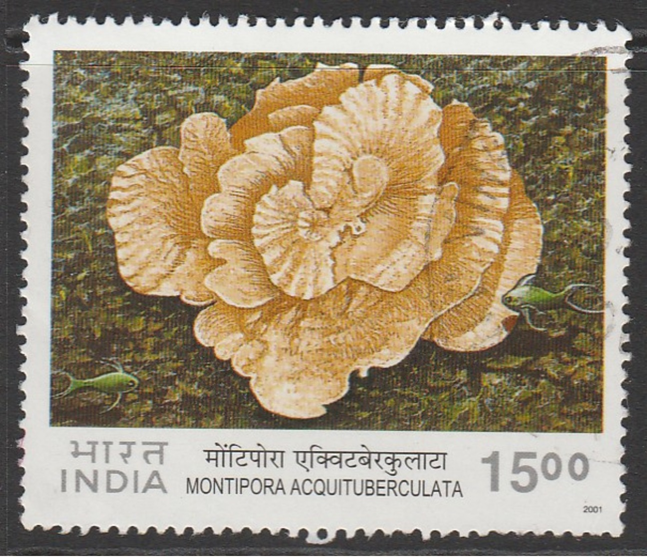 India 2001 Corals 15.00 R Multicoloured SW 1847 O Used - Used Stamps