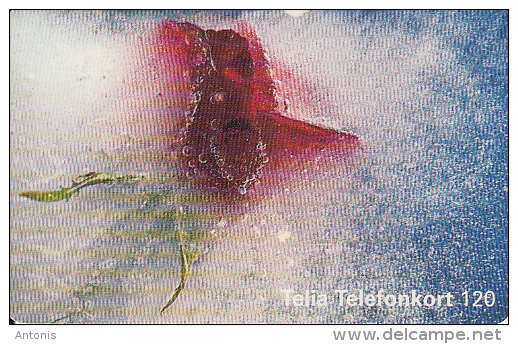 SWEDEN(chip) - Rose In The Ice, 04/99, Used - Suède