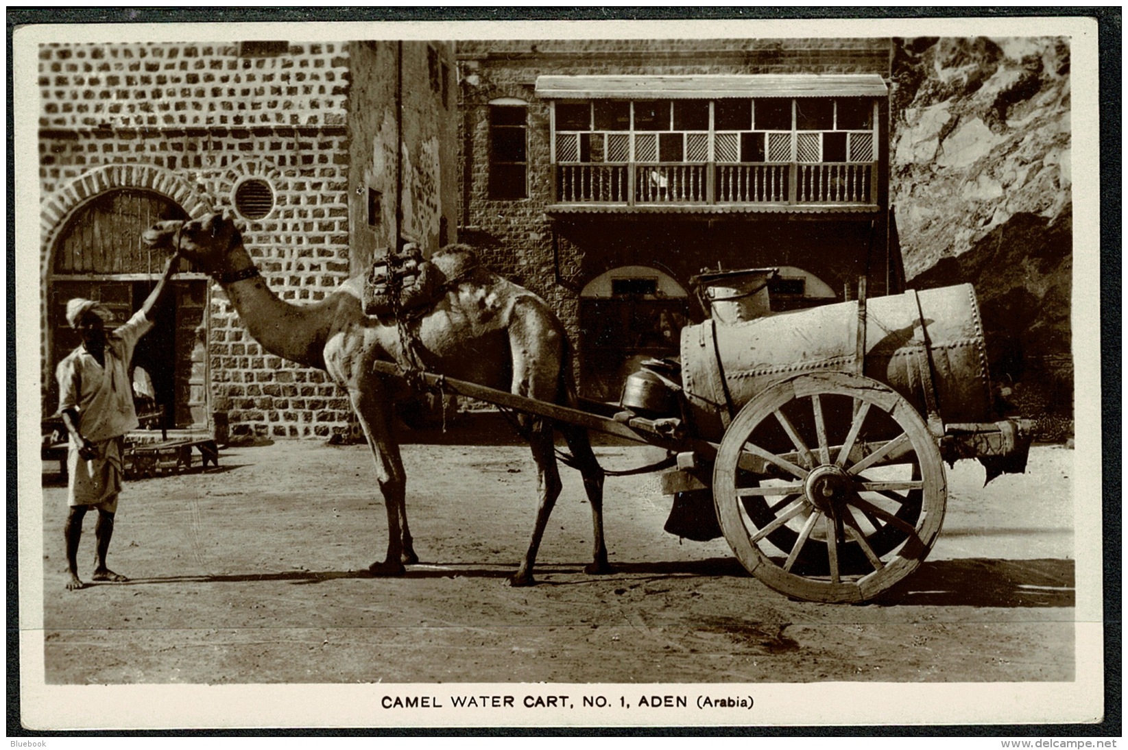 RB 1217 -  Early Real Photo Postcard - Camel Water Cart No. 1 - Aden Yemen Middle East - Yemen