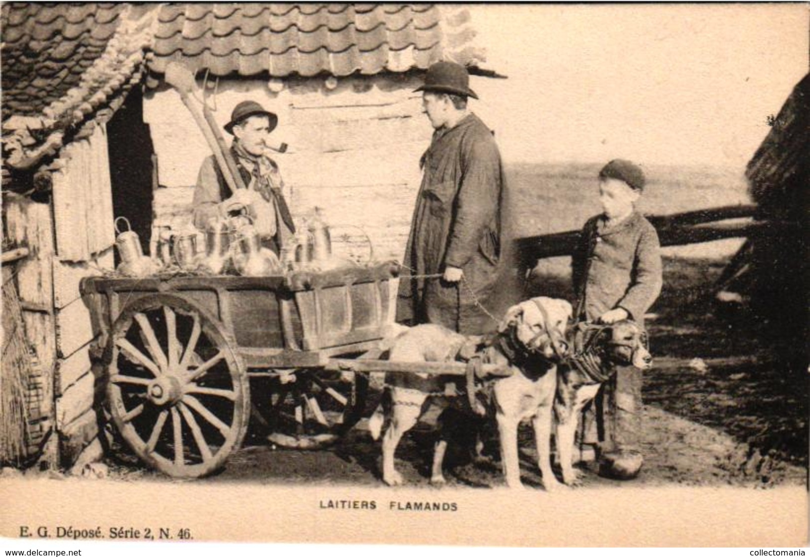 1 Postcard Dogchart  Hondenkar Attelage De Chien  Laitiers Flamands Edit. E.G. Serie 2 N°46 LATIER Latière - Street Merchants