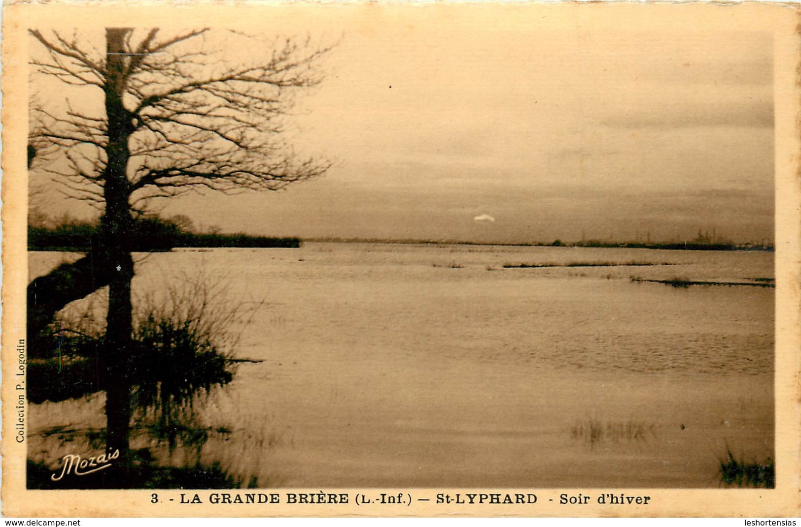 LA GRANDE BRIERE ST LYPHARD SOIR D'HIVER - Saint-Lyphard