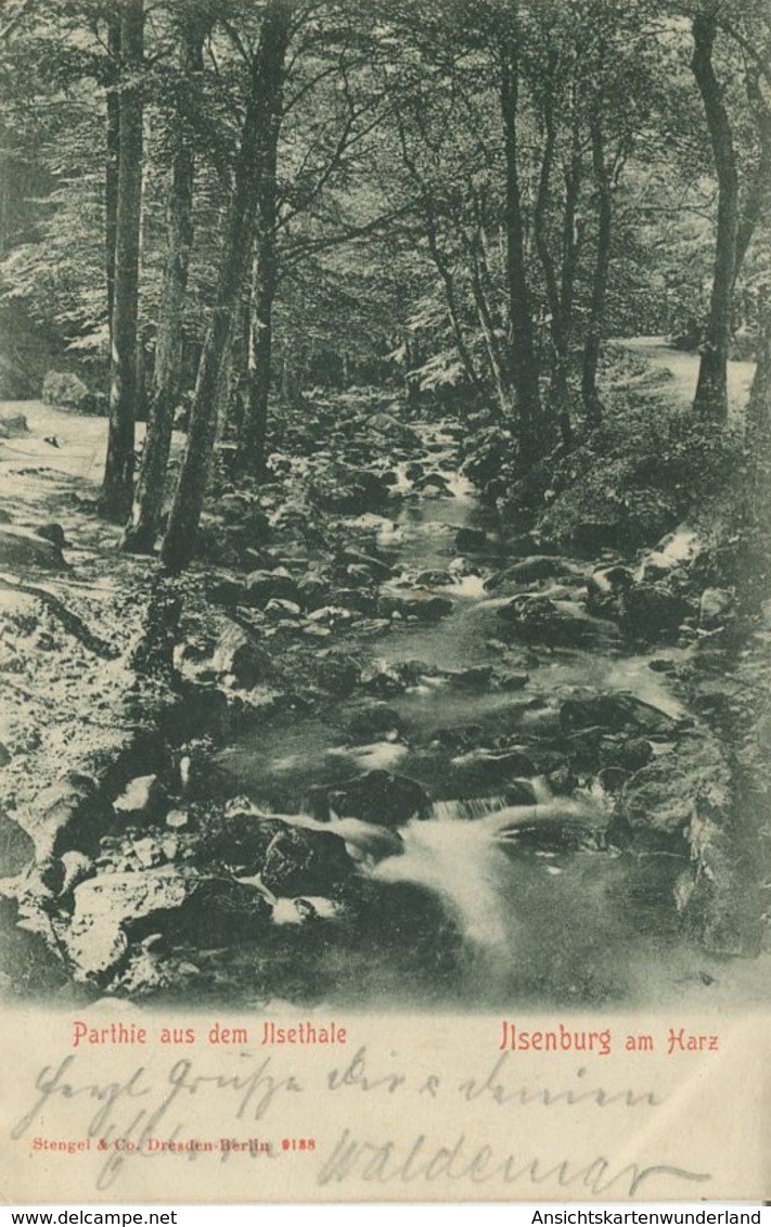 005026  Ilsenburg Am Harz - Parthie Aus Dem Ilsenthale - Ilsenburg