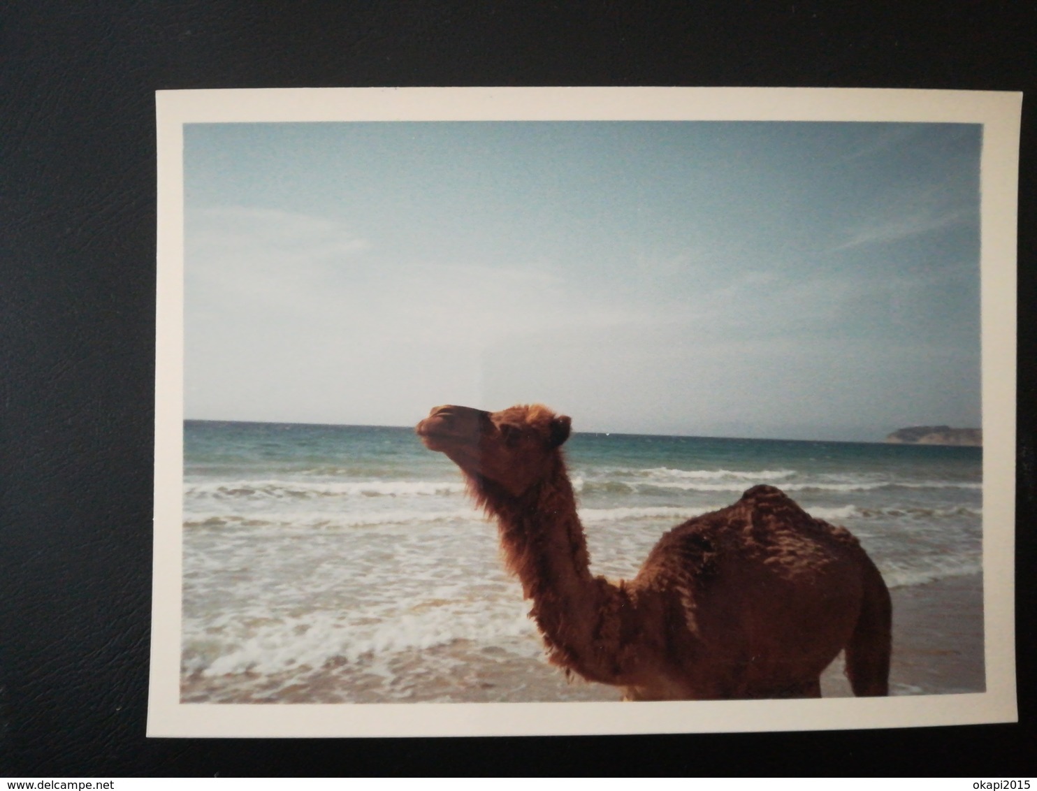 MAROC MALABATA LOT 21 PHOTOS  COULEURS BORDS BLANCS VACANCES COUPLE EN 1969