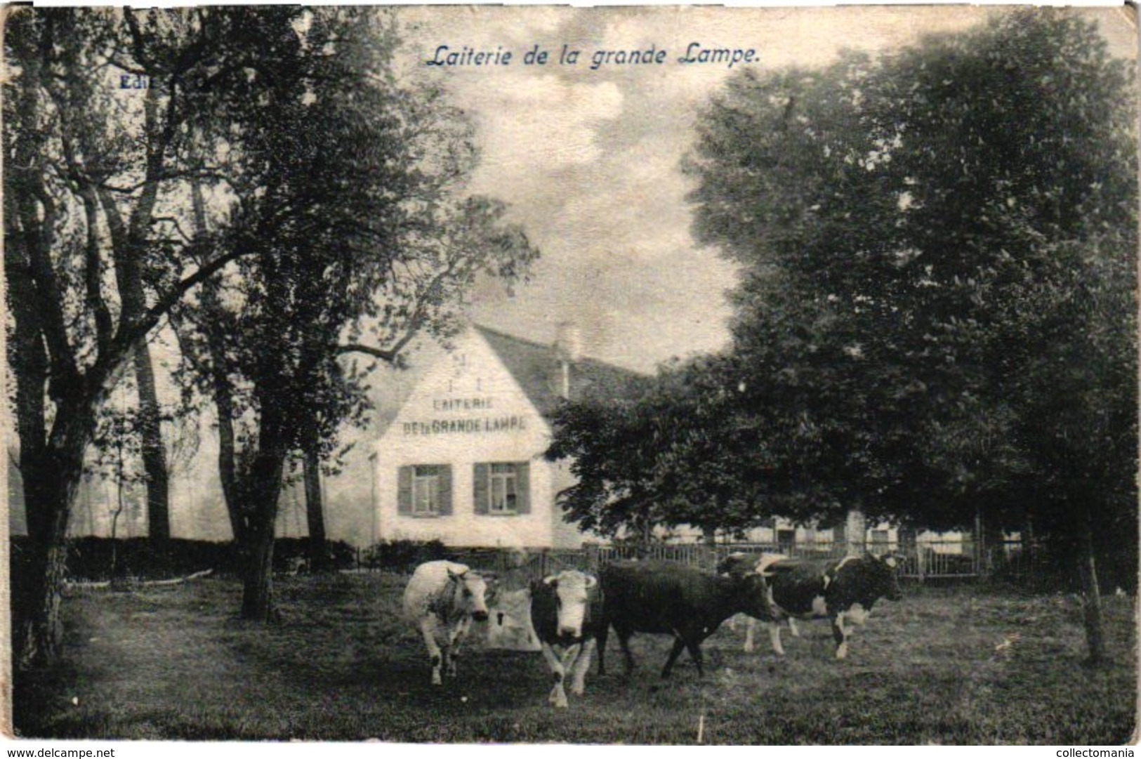 1 Oude Postkaart  Drogenbos Drogenbosch  Laiterie De La Grande Lampe - Drogenbos