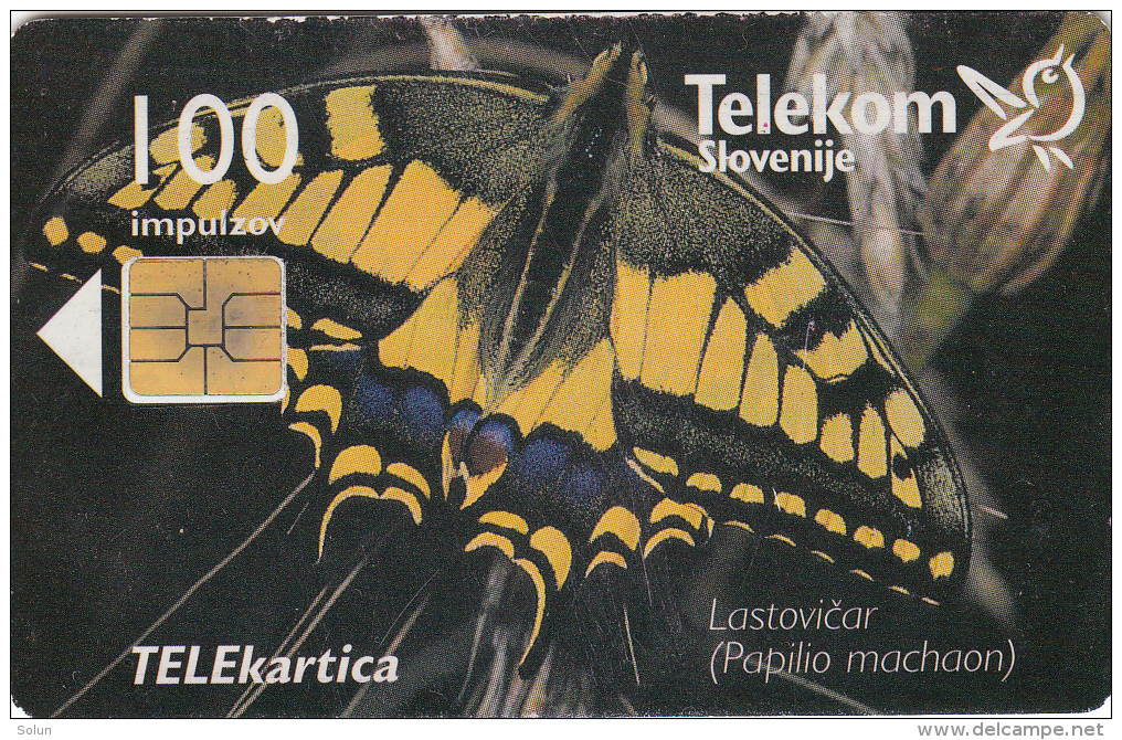 SLOVENIA SLOVENIJA PHONECARD 1998 LASTOVICAR PAPILIO MACHAON  TEL.PREDAL ZELJA  BUTTERFLIES  CAT.NO. 095    TELEKOM - Slovenia