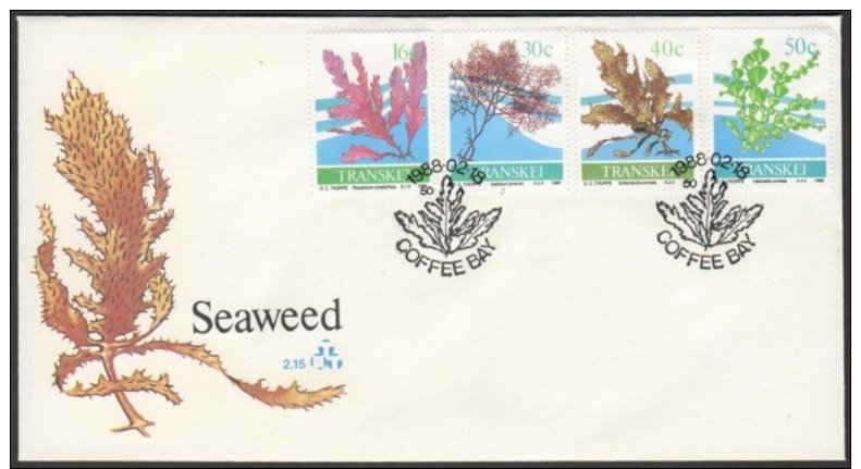 Transkei 1988 Seaweed FDC - Transkei